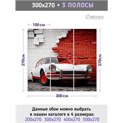 Фотообои для интерьера - 300х270см из 3х полос. Обои для стен, оформление спальни, детской комнаты, кухни, гостинной.