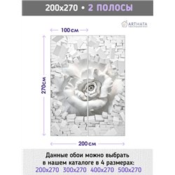 Фотообои для интерьера - 200х270см из 2х полос. Обои для стен, оформление спальни, детской комнаты, кухни, гостинной.