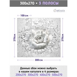 Фотообои для интерьера - 300х270см из 3х полос. Обои для стен, оформление спальни, детской комнаты, кухни, гостинной.