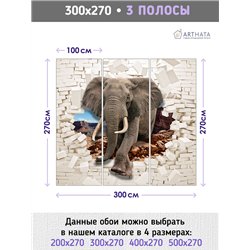 Фотообои для интерьера - 300х270см из 3х полос. Обои для стен, оформление спальни, детской комнаты, кухни, гостинной.
