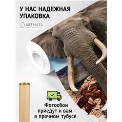 Фотообои для интерьера - 300х270см из 3х полос. Обои для стен, оформление спальни, детской комнаты, кухни, гостинной.