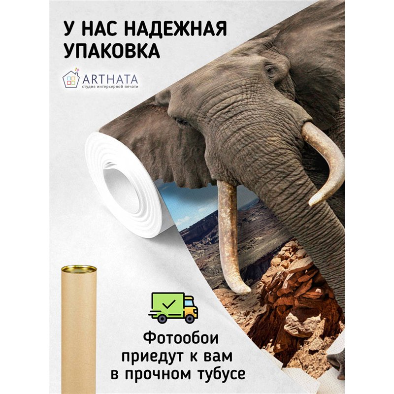 Фотообои для интерьера - 300х270см из 3х полос. Обои для стен, оформление спальни, детской комнаты, кухни, гостинной.
