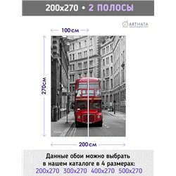 Фотообои для интерьера - 200х270см из 2х полос. Обои для стен, оформление спальни, детской комнаты, кухни, гостинной.