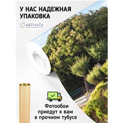 Фотообои для интерьера - 300х270см из 3х полос. Обои для стен, оформление спальни, детской комнаты, кухни, гостинной.