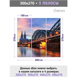 Фотообои для интерьера - 300х270см из 3х полос. Обои для стен, оформление спальни, детской комнаты, кухни, гостинной.