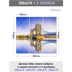 Фотообои для интерьера - 300х270см из 3х полос. Обои для стен, оформление спальни, детской комнаты, кухни, гостинной.