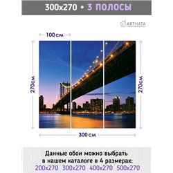 Фотообои для интерьера - 300х270см из 3х полос. Обои для стен, оформление спальни, детской комнаты, кухни, гостинной.