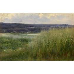 Беркос Михаил «Луга»