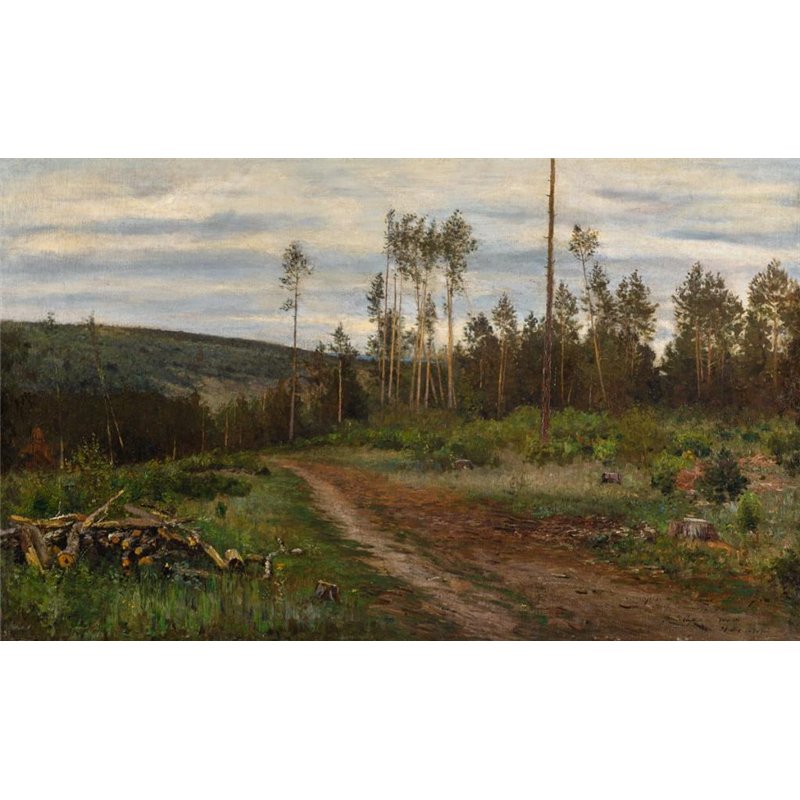 Переплетчиков Василий «Чистка леса»