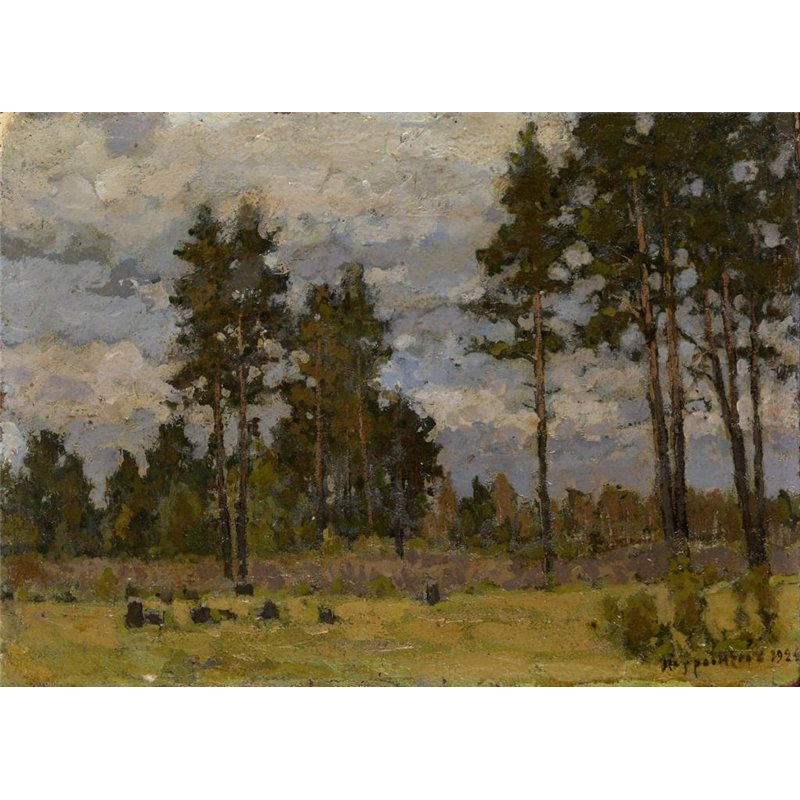 Петровичев Петр «Сосны»