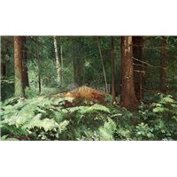 Портреты картины репродукции на заказ - В лесу
