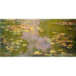 Кувшинки