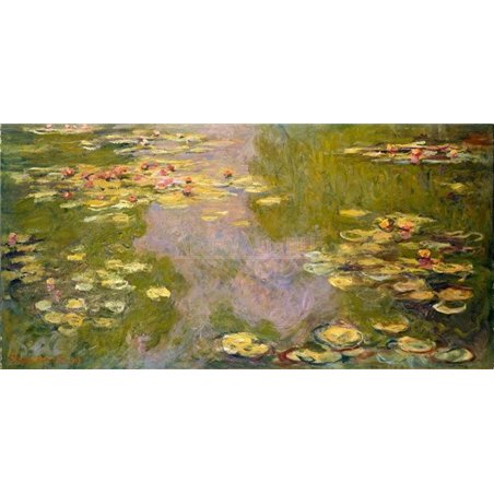 Кувшинки