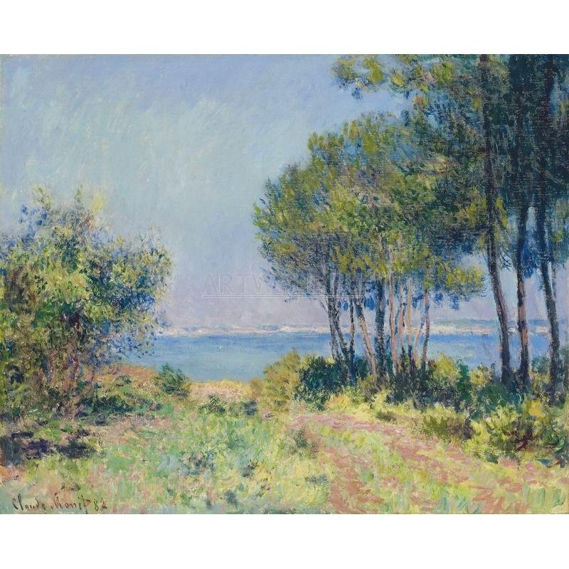 Ели в Варенджвилле