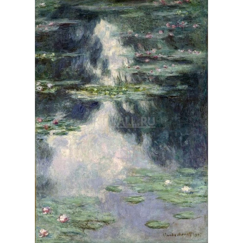 Кувшинки