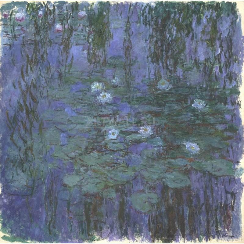 Кувшинки