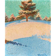 Картина на холсте по фото Модульные картины Печать портретов на холсте Зимний пейзаж с освещенной солнцем сосной