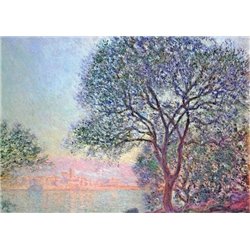 Антибы, вечерний вид