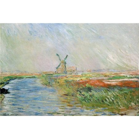 Тюльпанное поле в Голландии