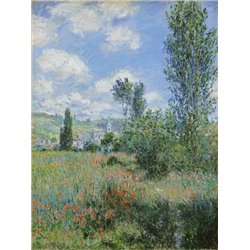 Тропинка на маковом поле в Сан-Мартине