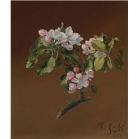 Портреты картины репродукции на заказ - Цветы яблони