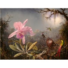 Картина на холсте по фото Модульные картины Печать портретов на холсте Орхидея Каттлея и колибри