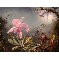 Портреты картины репродукции на заказ - Орхидея Каттлея и колибри