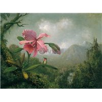 Портреты картины репродукции на заказ - Орхидея и колибри возле горного водопада