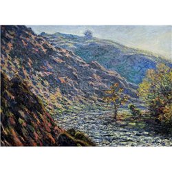 Старое дерево