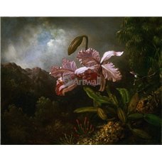 Картина на холсте по фото Модульные картины Печать портретов на холсте Орхидеи и колибри