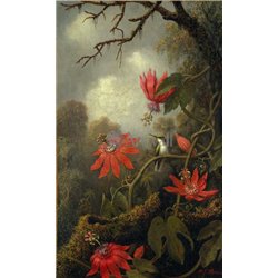 Орхидеи и колибри - Модульная картины, Репродукции, Декоративные панно, Декор стен