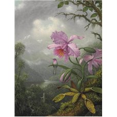 Картина на холсте по фото Модульные картины Печать портретов на холсте Колибри и орхидеи