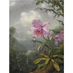 Колибри и орхидеи - Модульная картины, Репродукции, Декоративные панно, Декор стен