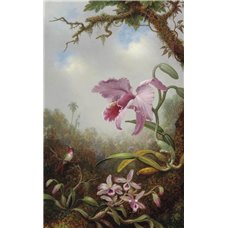 Картина на холсте по фото Модульные картины Печать портретов на холсте Колибри и орхидеи
