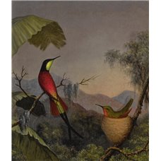 Картина на холсте по фото Модульные картины Печать портретов на холсте Колибри и гнездо
