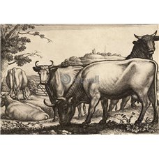 Картина на холсте по фото Модульные картины Печать портретов на холсте Быки и коровы