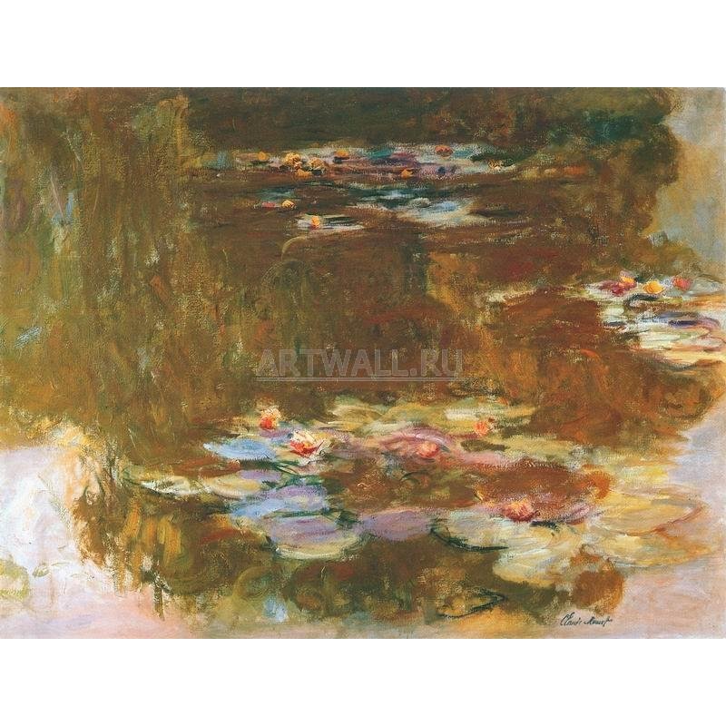 Кувшинки, пруд