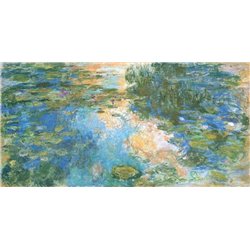 Кувшинки, пруд