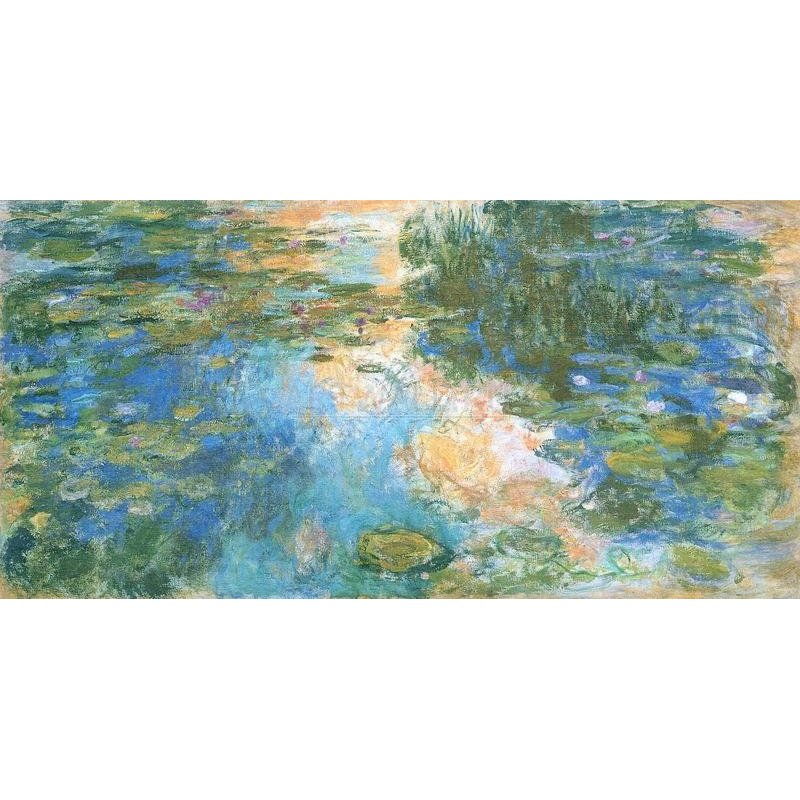 Кувшинки, пруд