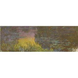 Кувшинки, закат солнца