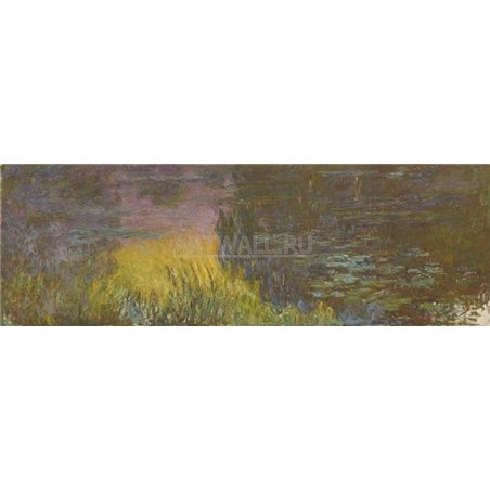 Кувшинки, закат солнца