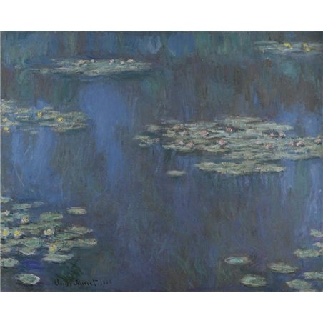 Кувшинки