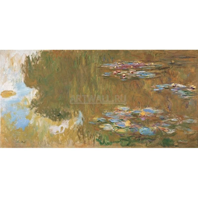 Кувшинки
