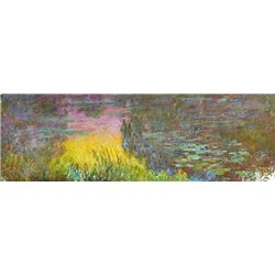 Кувшинки