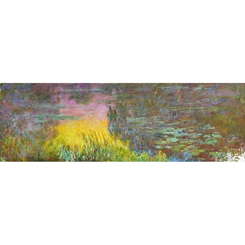 Кувшинки