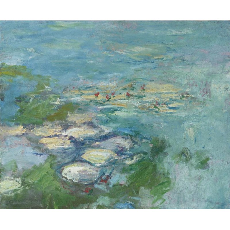 Кувшинки