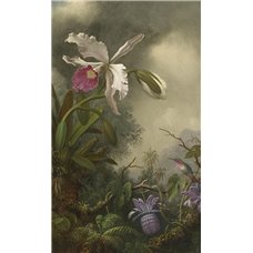 Картина на холсте по фото Модульные картины Печать портретов на холсте Белая орхидея и колибри