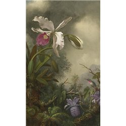 Белая орхидея и колибри - Модульная картины, Репродукции, Декоративные панно, Декор стен