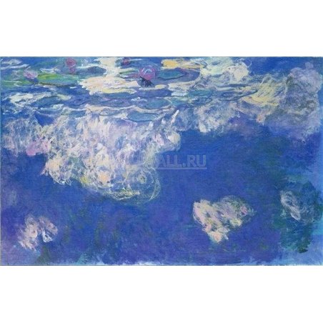 Кувшинки