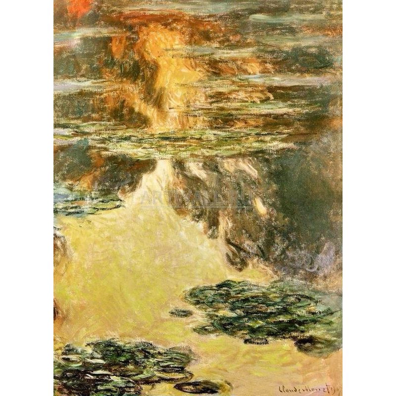 Кувшинки